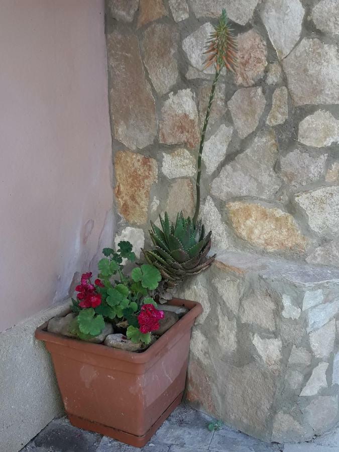 Appartamento Oasi Calatina Caltagirone Exterior foto